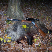 v poslednej chvili...