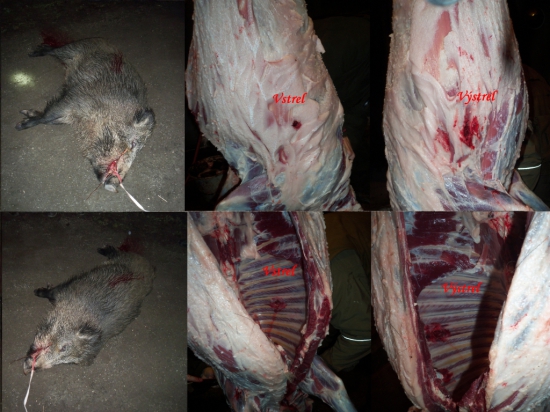 prebíjaný nosler partition V0 700m/s 8x57js