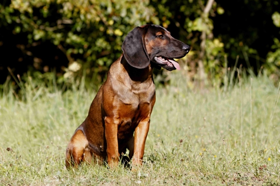 Aron 7měsíců 23kg