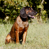 Aron 7měsíců 23kg