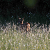 Jaký je váš názor? č. 2