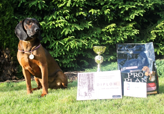 Aron 2 roky: Vítěz pracovní třídy titul CAC