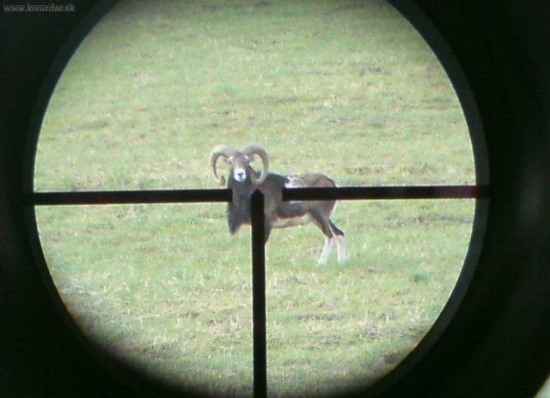 skúška fotenia cez puškohľad..