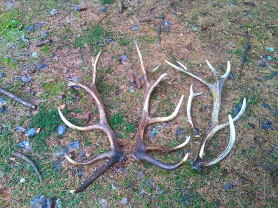 Vcerajsia prechadzka