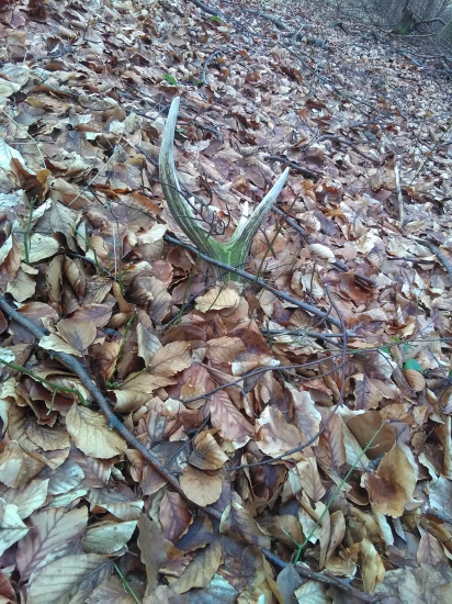 Lezal si vedla cesty