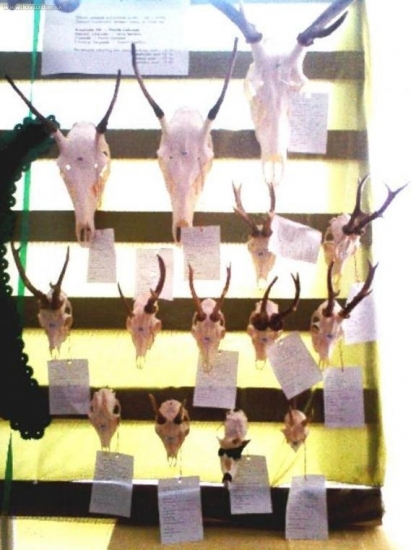 CHPT RgO Stredné Považie..náš kútik:-)