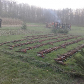 Vzpomínka na podzim...