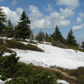 Poslední stopy po zimě...