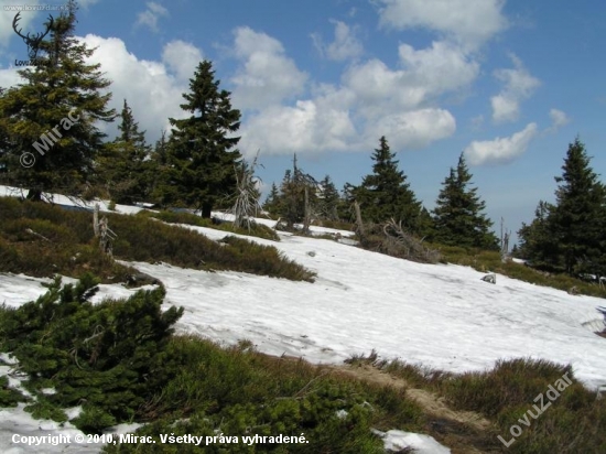 Poslední stopy po zimě...