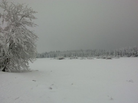Na dnešní procházce.