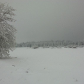 Na dnešní procházce.