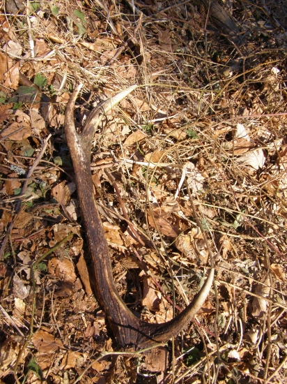 Zaujímavý zhodík..