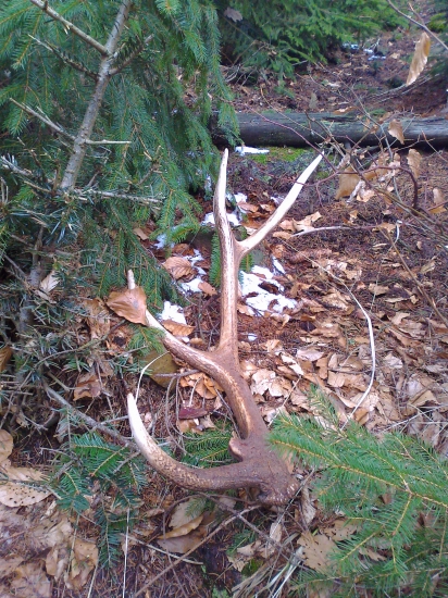 šťastie sa usmialo konečne aj na mňa.. :)