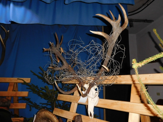 Úhyn - nepravidelný osemnástorák..