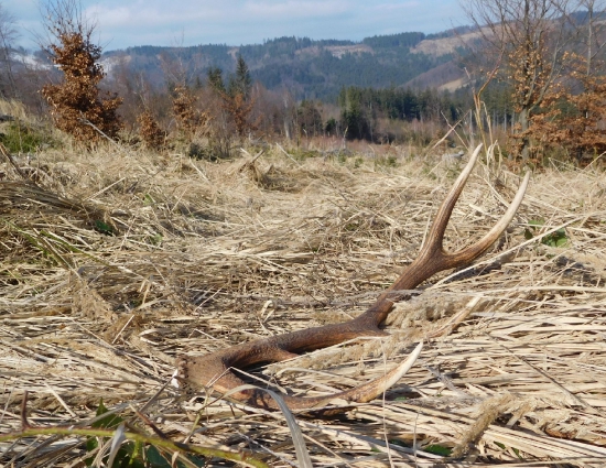 Pohľad, ktorý poteší...