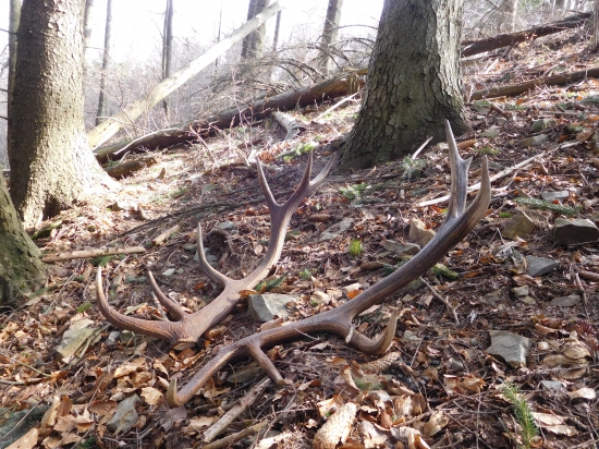 A nakoniec pekne spolu...