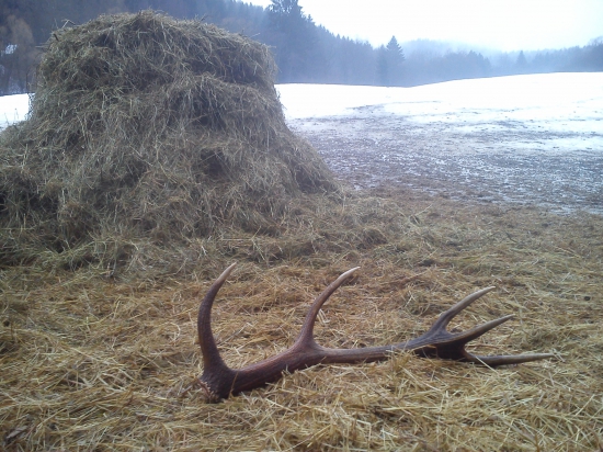 Slušne sa poďakoval....