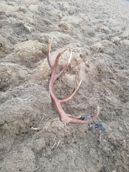 Môj najlepší z poslednej sezóny..