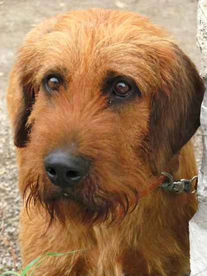 BENY z Predlipoviec..