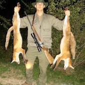 20031