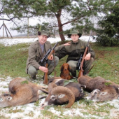 Oplatilo sa vstávat......