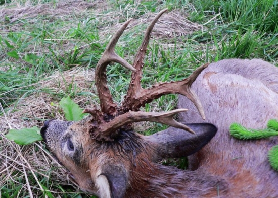 Ještě jeden pohled