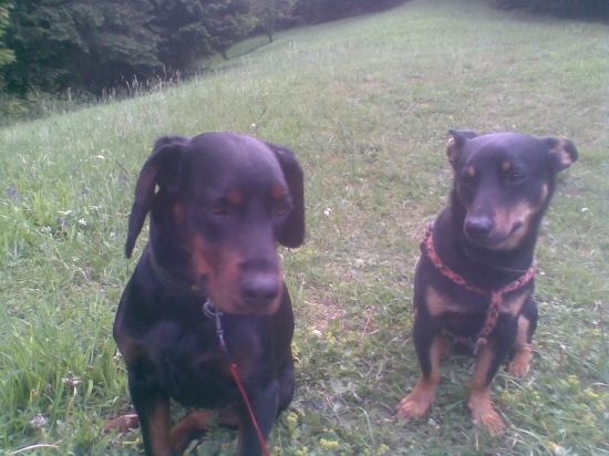 Hneváš sa na mňa?