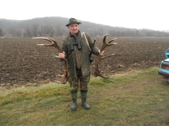 Takto sa hľadá zlatko :-)))