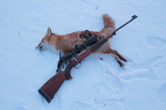 v mraze vysedená....