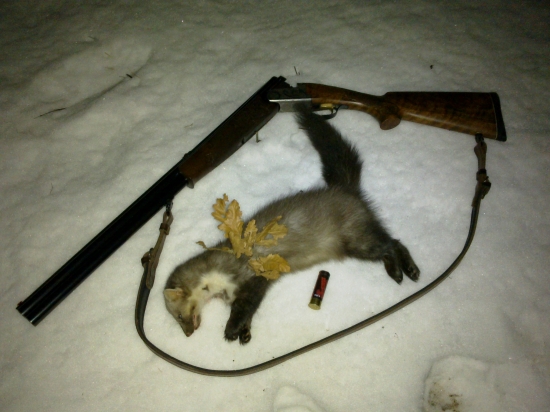 Takmer na poslednú chvíľu...