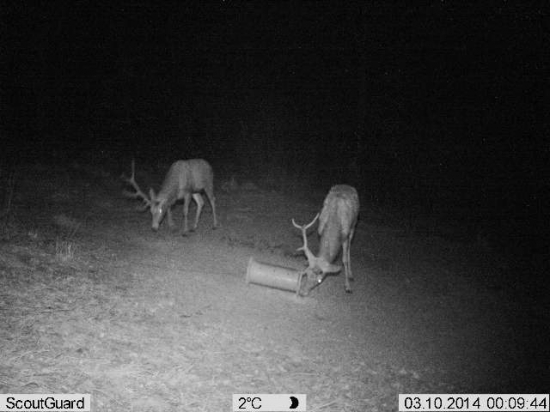 Dvaja pravičiari :-)