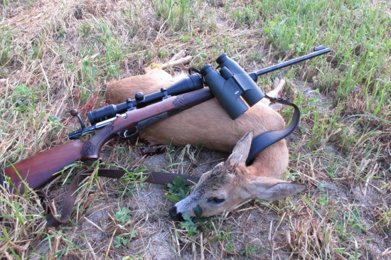 predposledný do plánu