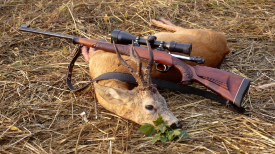 Poľovnícke šťastie...