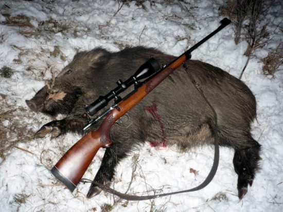 Na poslednom snehu - do rána sa roztopil