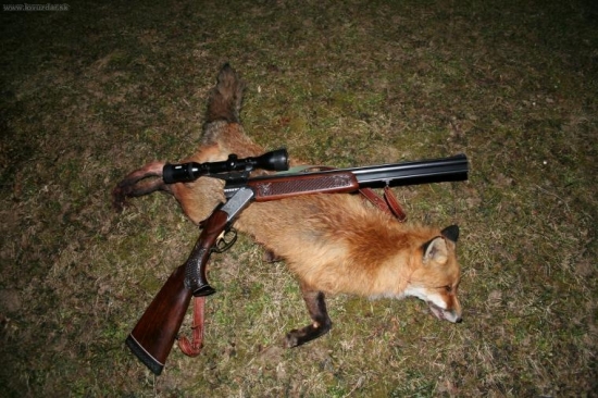 Lišiak - predbežne 25,2 b. CIC