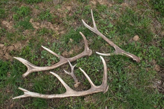 Na Veľkonočnú nedeľu za cca 1,5 hodinky