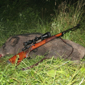 Lanštiak