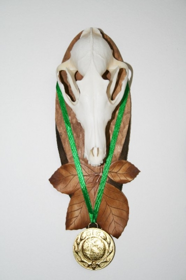 Lišiak 25,1 b. C.I.C