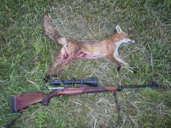 Privábená na myškovačku