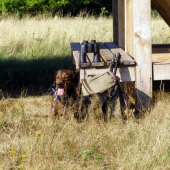 moj nerozlučny priateľ