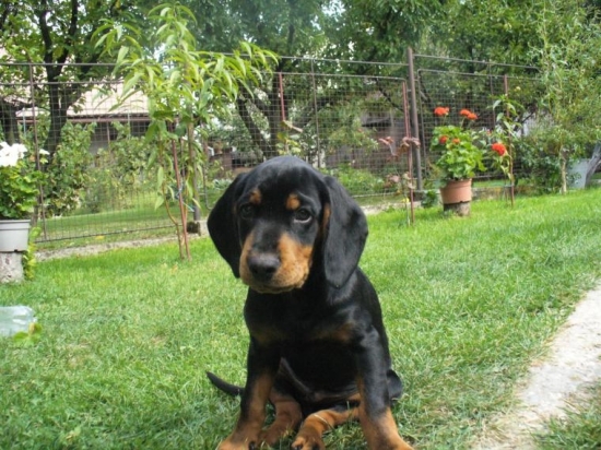 Don (Dak) Biela studňa