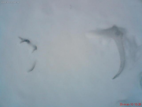 Moje dnešné nešťastie