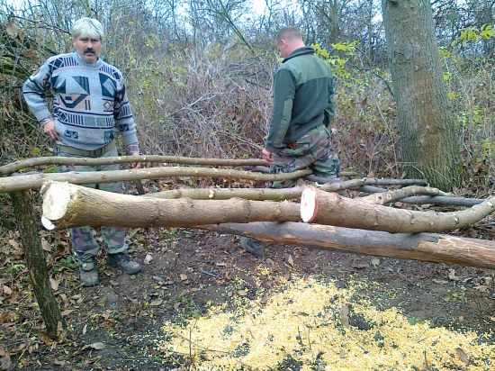 stavba prikrmovacieho zariadenia