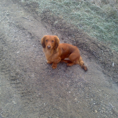 Bady 31.12.12