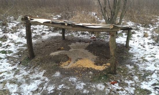 prikrmovanie drobnej užitkovej zveri