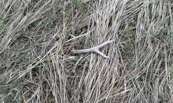 Veľkonočná prechádzka