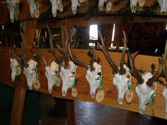 Chovatelska TV,MI,SO