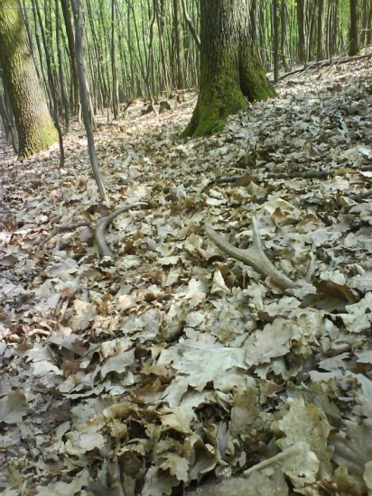 veľkonočný pondelok sa darilo:)