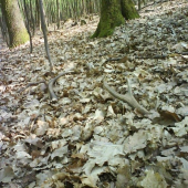 veľkonočný pondelok sa darilo:)