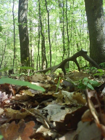 a tu je aj druhy30ty